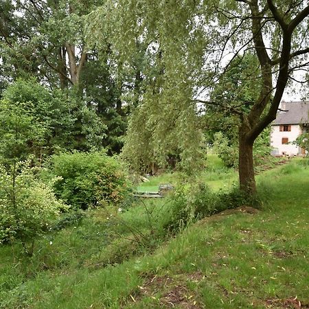 Serendipity Bed&Breakfast Saint-Die-des-Vosges Extérieur photo