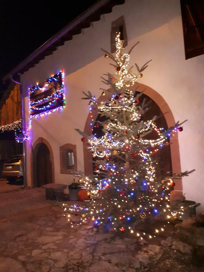 Serendipity Bed&Breakfast Saint-Die-des-Vosges Extérieur photo
